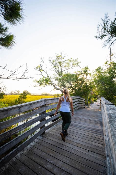 ULTIMATE Guide to Visiting Carolina Beach State Park (NC) - Lost In The ...