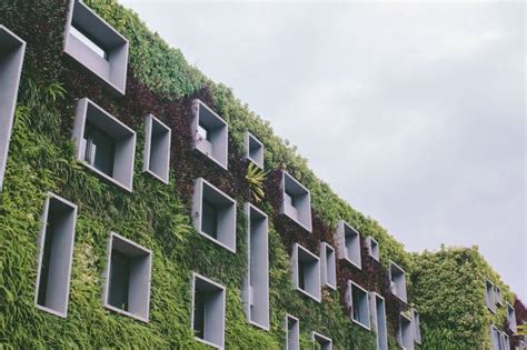 Eco Brutalism Explained: What Is It and Is It Sustainable?