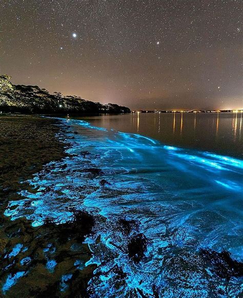 Bioluminescence HD phone wallpaper | Pxfuel