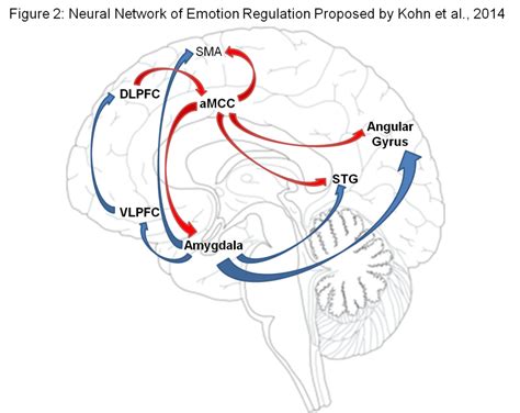 Don’t Go Wasting Your Emotion: The Process Model of Emotion Regulation – Emotion, Brain ...