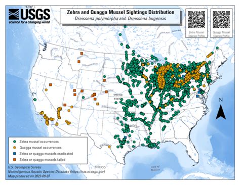 Invasive mussels - coloradoriverscience.org