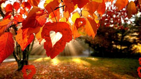 Fall Leaves Worship Graphics | Progressive Church Media