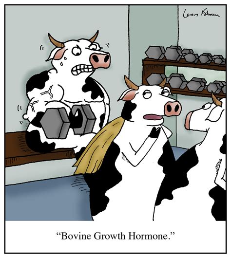 Cartoon: "Bovine Growth Hormone." - Humoresque Cartoons