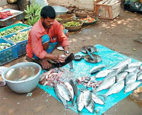 Selective breeding improves Indian carp culture - Responsible Seafood Advocate