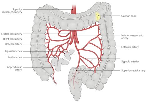 First Try at Removing the Colon Cancer – Barrington Smith