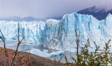 Perito Moreno | Patagonia, Argentina | Steve Shames Photo Gallery