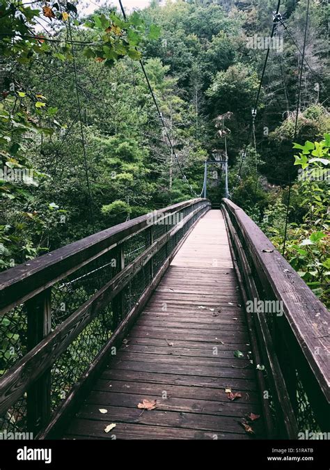 Tallulah Falls Suspension Bridge- Georgia Stock Photo - Alamy