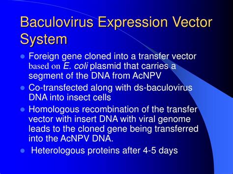 PPT - Recombinant protein production in Eukaryotic cells PowerPoint ...