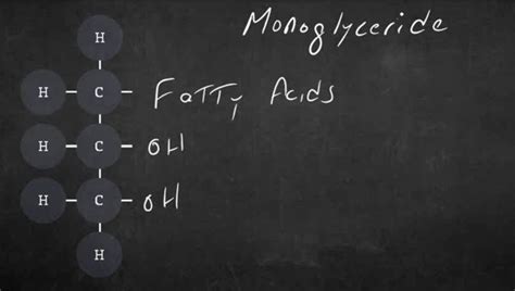 The Fatty Acid Forum » Feed Lipids: Nomenclature and Analysis – Dr. Tom ...