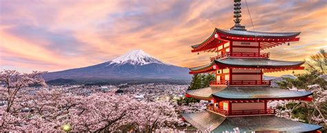 Japanese Cherry Blossom Tours 2024 - 2025