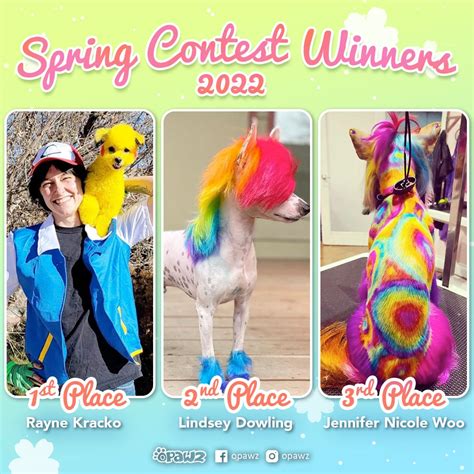 Spring Grooming Contest 2022 | OPAWZ Creative Grooming Competition