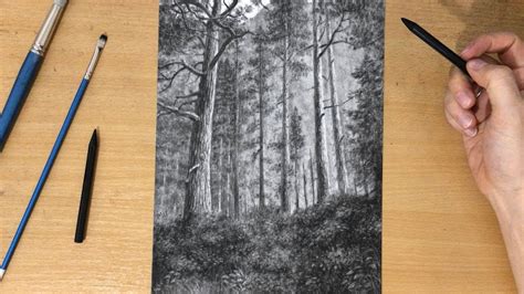 Realistic Forest Landscape Drawing