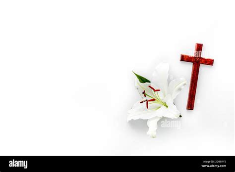 Lily funeral flower with cross. Condolence card with copy space Stock ...