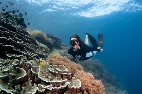 Dive in Bunaken National Park from Gorgeous Siladen! | SeaCrush