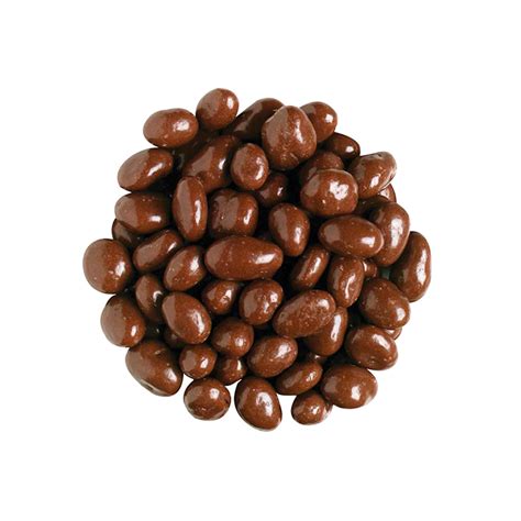 Chocolate Covered Raisins in Bulk