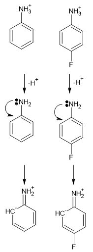 organic chemistry - Comparing acidity of anilinium ion and para-fluoro anilium ion - Chemistry ...