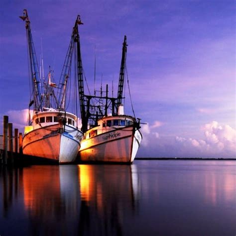 Discover Apalachicola, Florida - Discover Beautiful St. George Island Florida