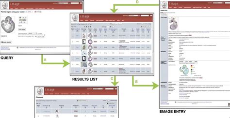 Top 5 of the Best Free Tools to Visualize Your Transcriptome Data ...