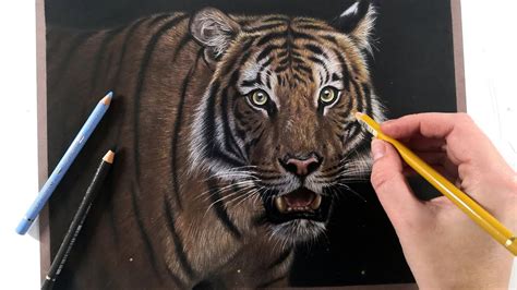 Realistic Tigers To Draw