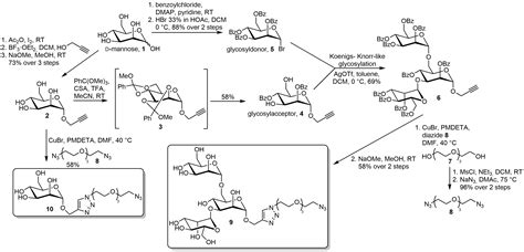 Synthesis of biologically active saccharide structures | Organic Chemistry