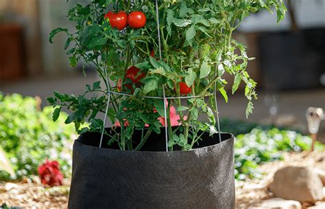 Urban Gardening with Smart Pots | Smart Pot Blog