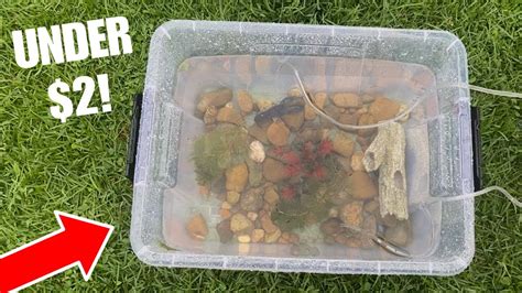 How To Make A DIY Crayfish Tank || (SUPER EASY BUILD!) - YouTube