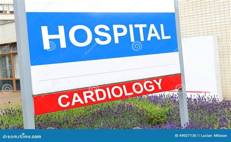 Cardiology stock photo. Image of business, ambulance - 49027130