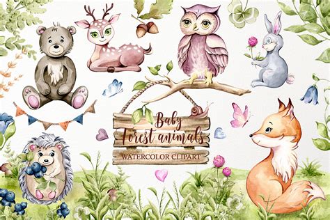 Baby Forest Animals Clipart