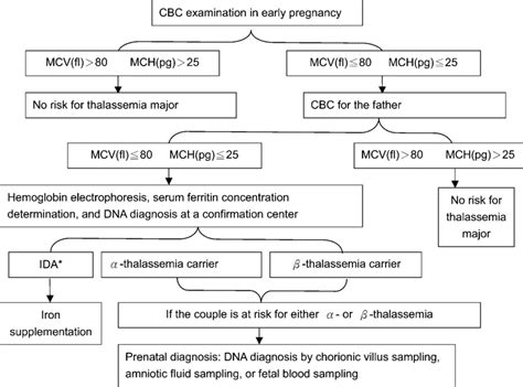 Anemia Flowchart