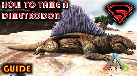 ARK HOW TO TAME A DIMETRODON 2019 - EVERYTHING YOU NEED TO KNOW ABOUT ...