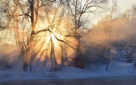 Winter, morning, sunrise, sun rays, fog, trees, snow wallpaper | nature and landscape ...