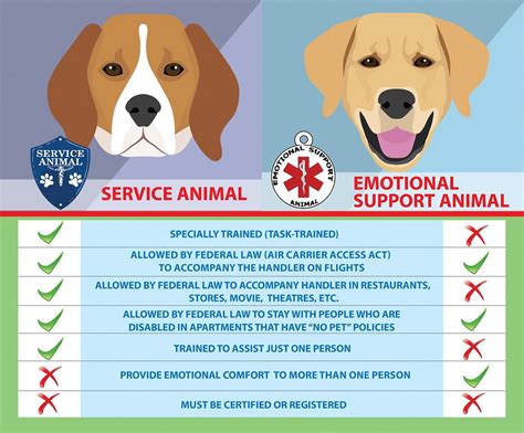 Service Animal vs. Emotional Support