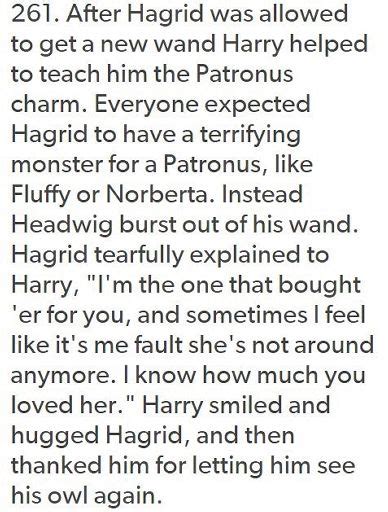 Headcannons: Hagrid's Patronus | Harry Potter Amino