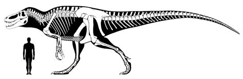 Fictional dinosaur skeletal : r/Dinosaurs