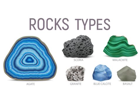 Types Of Rocks Ocean Floor | Viewfloor.co