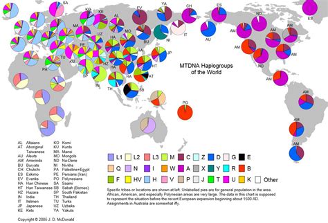 mtDNA_Haplogroups