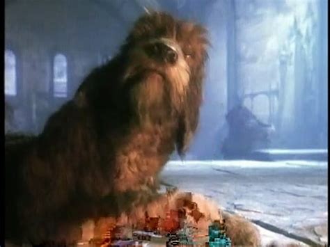 Jim Henson’s The Storyteller S01E05 - Hans, My Hedgehog - video Dailymotion