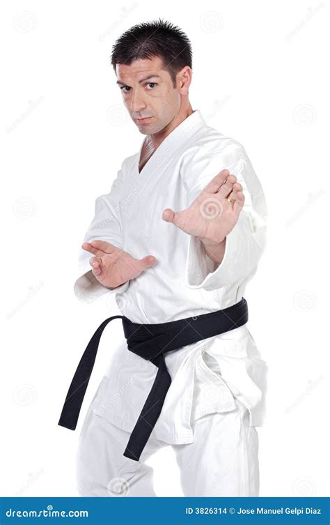 Martial arts stance stock photo. Image of martial, background - 3826314