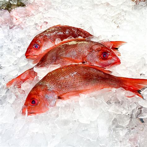 Fresh Snapper (Whole) • Harbor Fish Market