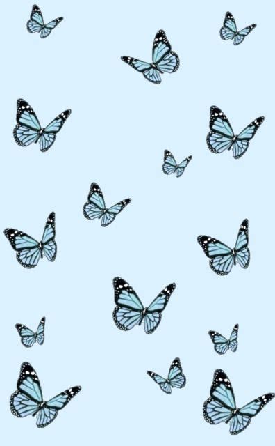 Pretty Blue Butterfly Backgrounds