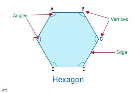 Hexagon – How many sides does a Hexagon have?