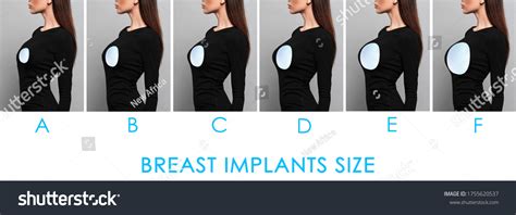 280 Comparing breasts Images, Stock Photos & Vectors | Shutterstock