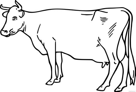 La Vaca Lola Outline Drawing