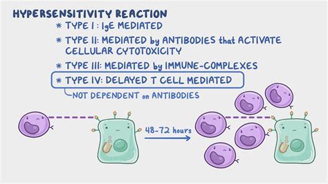 Hypersensitivity reactions - Type IV: Nursing - Osmosis Video Library