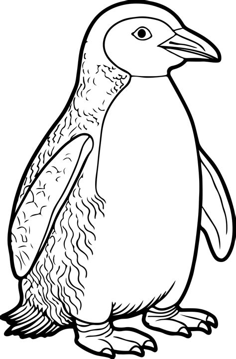 Penguin Coloring Book - Coloring Pages with Penguin Designs for Kids to Coloring | Made By Teachers