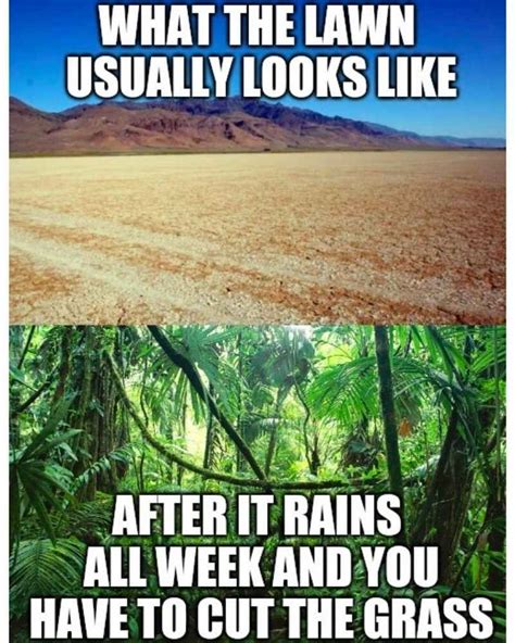 Rainy Days Got You Down? These Rain Memes Will Bring The Sunshine | Rain humor, Going to rain ...