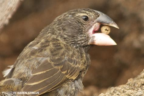 Seven Things to Brag About After Visiting the Galápagos Islands ...