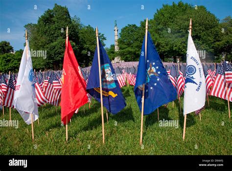 Armed Services Flags are in front 20,000 American Flags are displayed ...