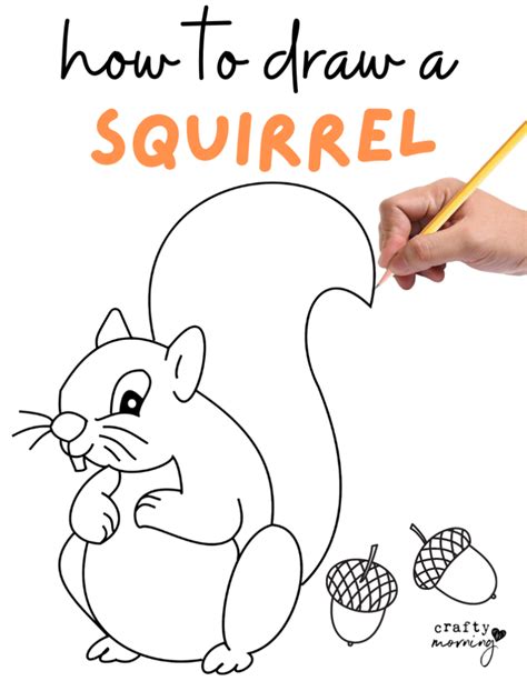 How to Draw a Squirrel (Easy Step by Step) - Crafty Morning