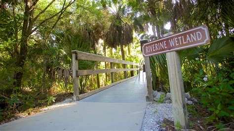 Manatee Park in Fort Myers, Florida | Expedia